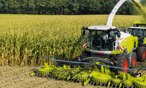 Panel 7: Side by Side (Video)